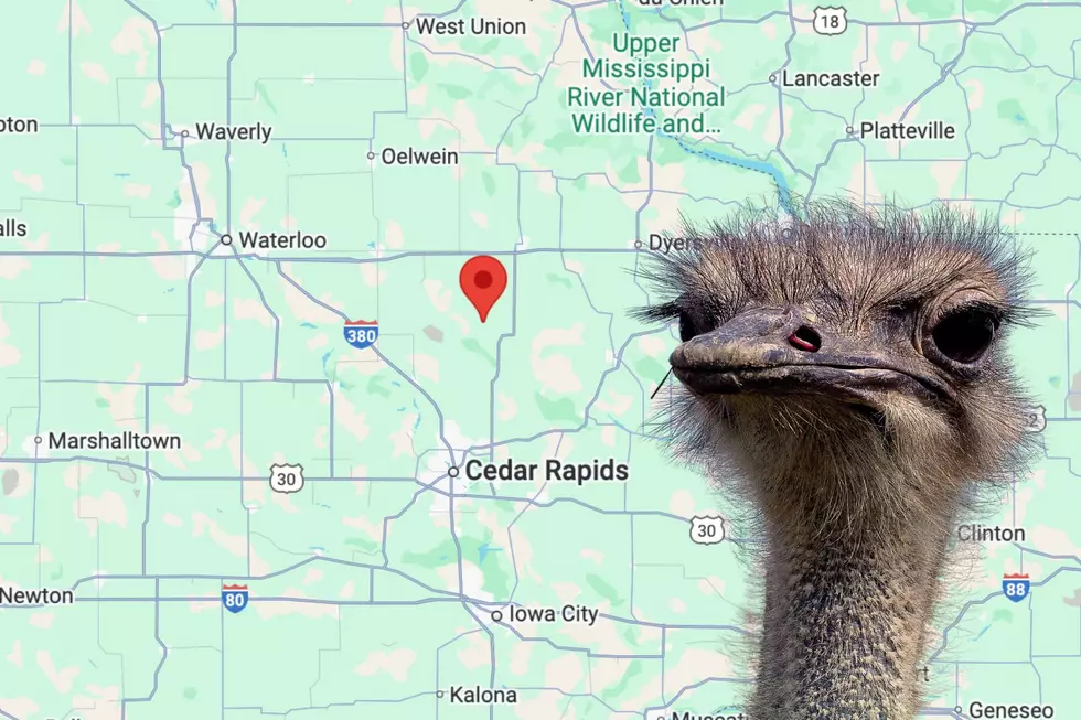 Coggon, Iowa-Google Maps