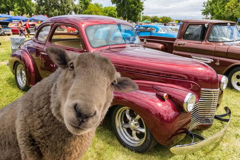 Are You Planning A Trip To Iowa's Only Nudest Car Show-Canva