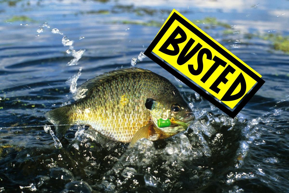 2 South Dakota Fishermen Busted Way Over The Limit!