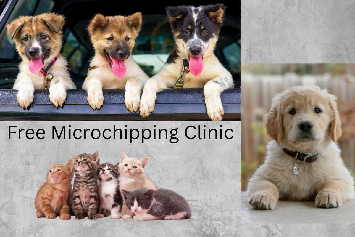Free Microchipping Event Helps Keep Pets Safe In Sioux Falls