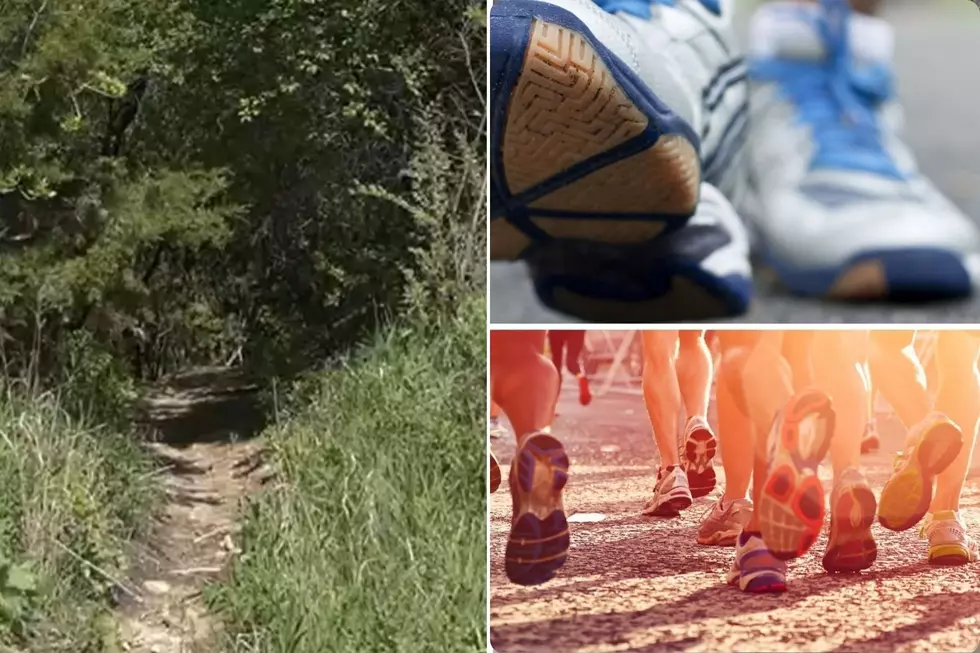 Great Bear’s First Ultra Marathon Sent Runners Up 12000 Feet In July Heat