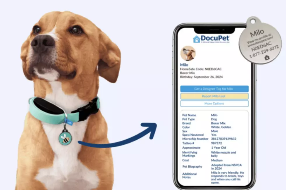 Sioux Falls Pet Owners Can Now Register Dogs And Cats Online