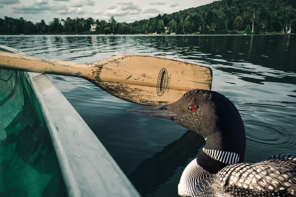Minnesota Governor Bans Some Mining In Boundary Waters Wilderness