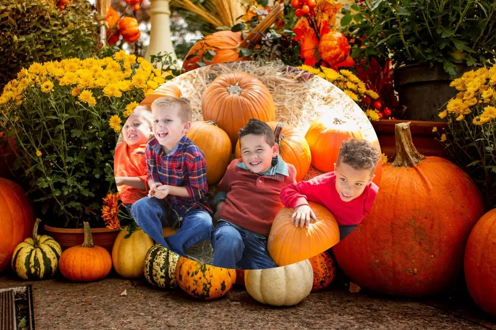 Forget the Couch &mdash; Hartford Has Fall Fun Waiting
