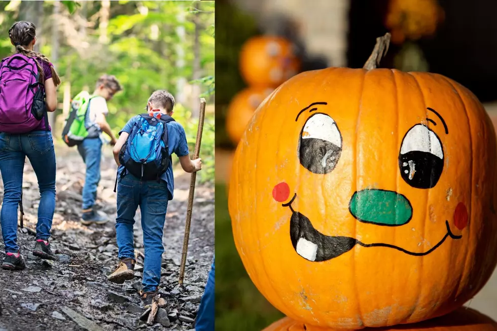 Take a Hike – Then Paint a Pumpkin at Great Bear!