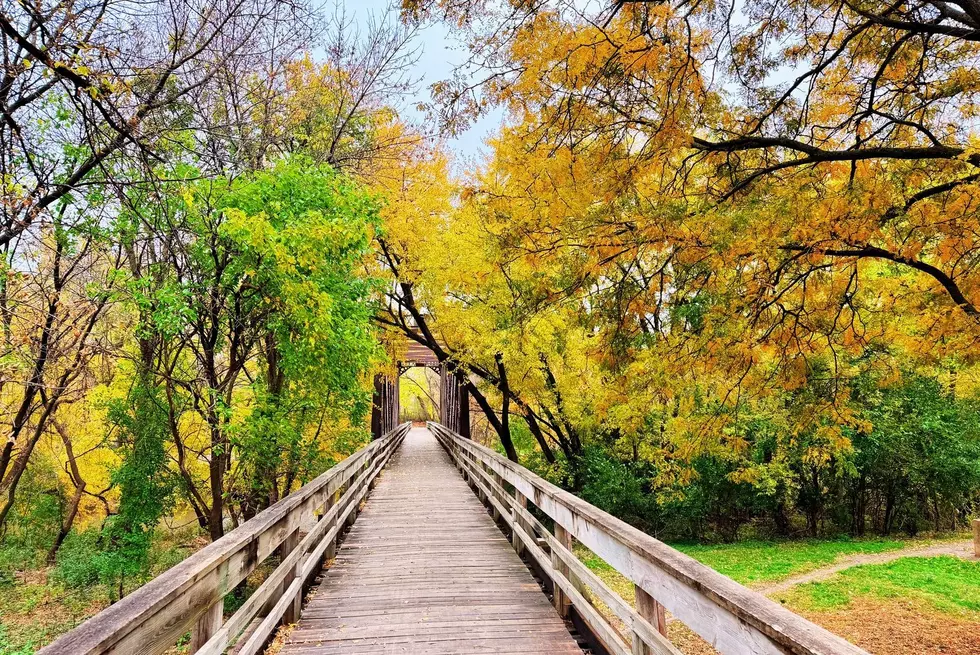Do You Know How Did Sioux Falls Get All Its Colorful Trees?