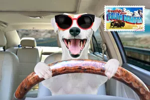 What Is Your Car Named? 10 Popular Car Names In South Dakota!