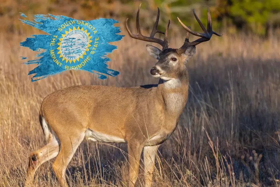 Deadly South Dakota Deer Disease Triggers License Refunds