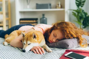 Do You Want To Be Smarter? Take A Nap!