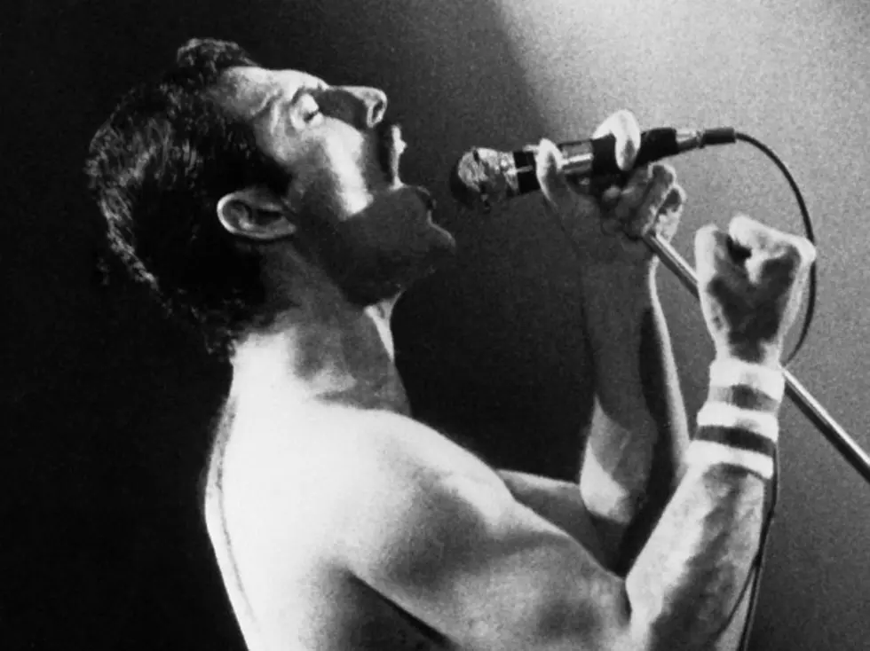 New Freddie Mercury Documentary Out On DVD