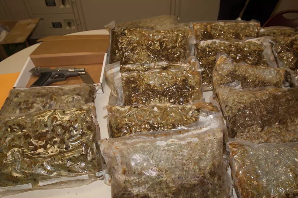 Over 12 Pounds of Marijuana, Cash Seized in Sioux Falls Drug Bust