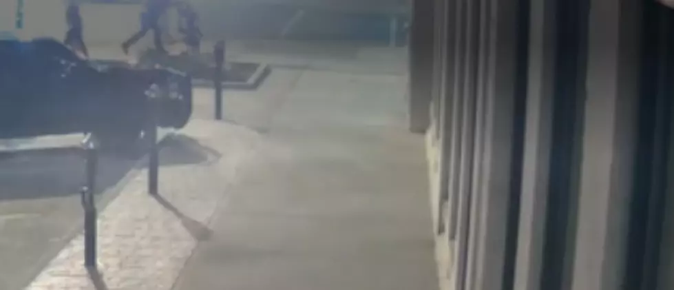 Sioux Falls Police Release Video of Art Vandalism