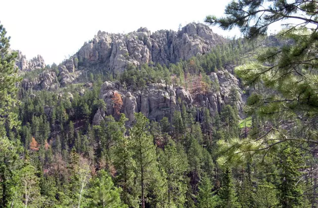 Spearfish Canyon State Park Idea Gets Lost in the Forest [OPINION]