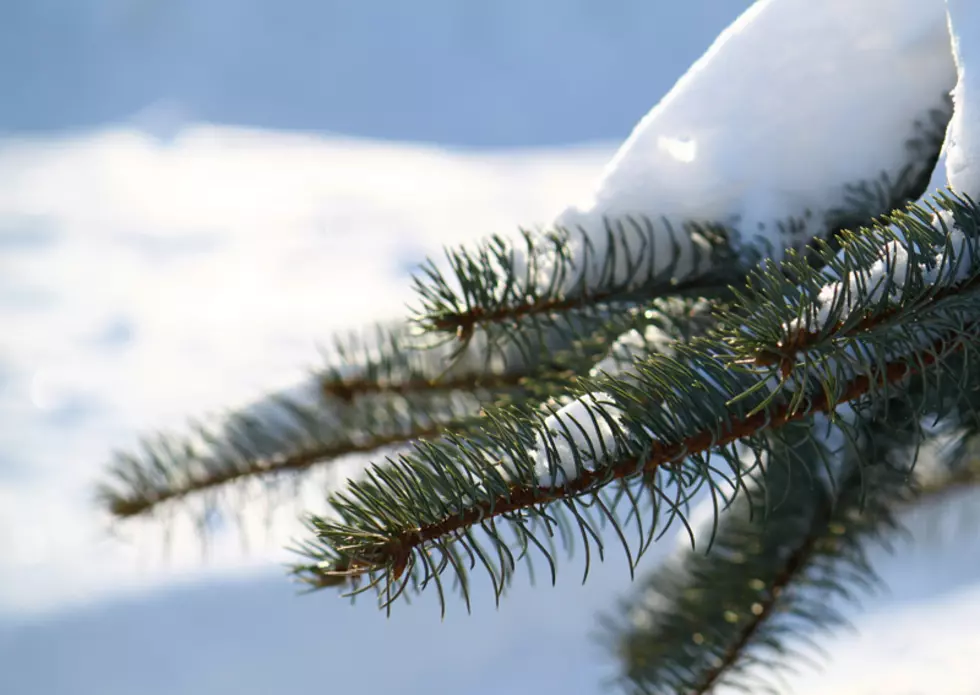 Report: South Dakotans Should Brace for Frigid Winter