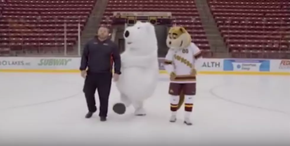 I Thought Polar Bears Were Boss on Ice – Not This One from Minnesota!