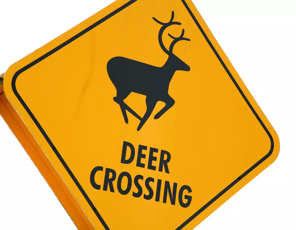 PS... Deer Can't Read