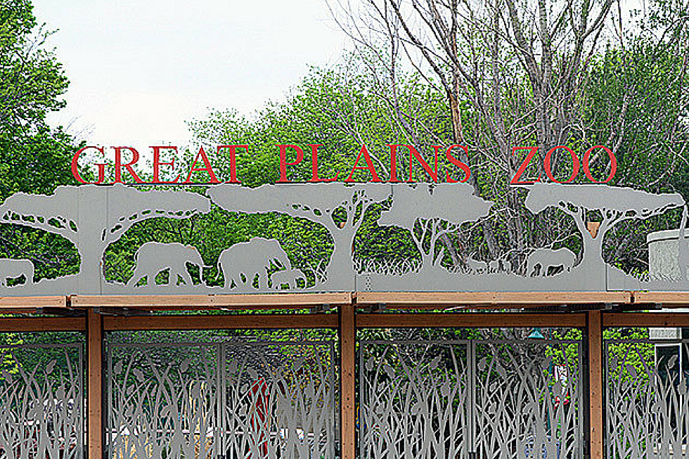You Can Now Camp at the Great Plains Zoo