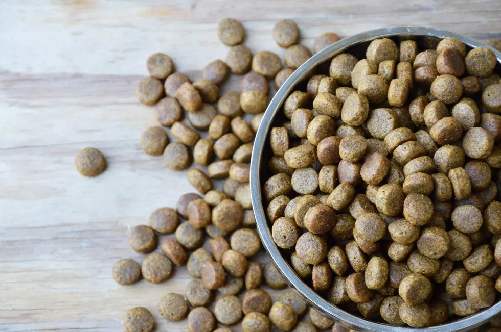 FDA Warns Dog Owners Over Dry Pet Food Recall