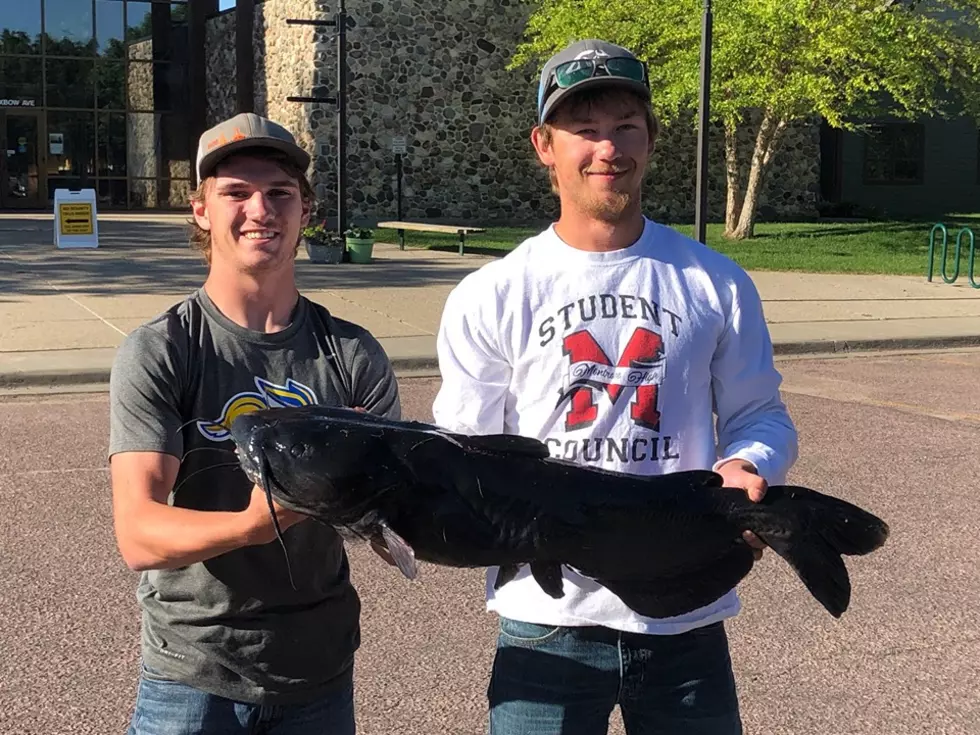 24 Pound Monster Catfish Shot by SDSU Students is a World Record
