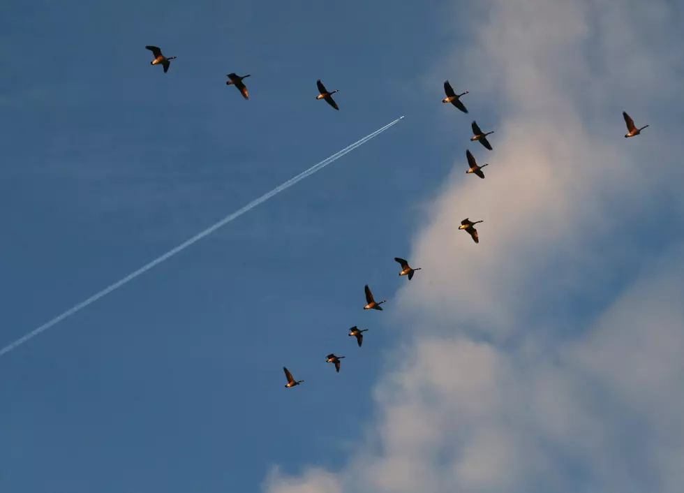 Loud Cannon Booms Resonate Through Northern Sioux Falls