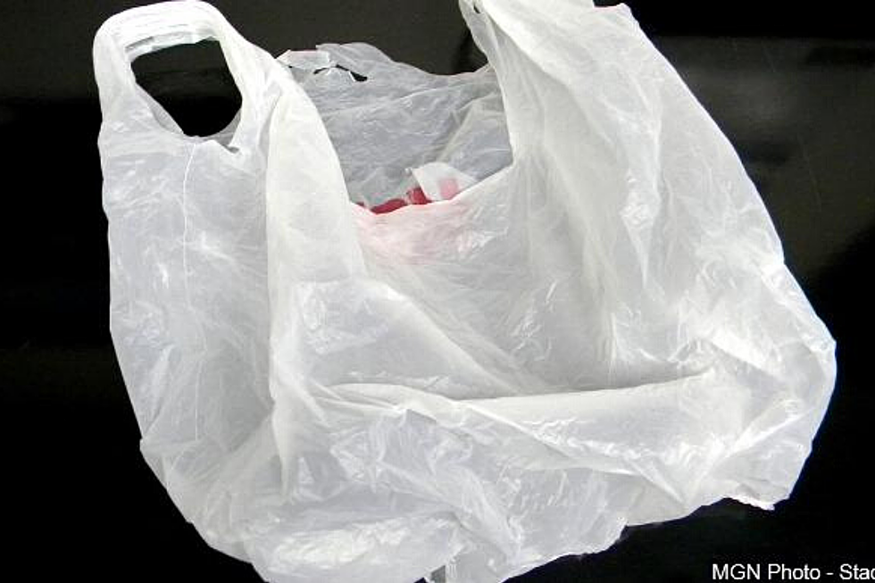 Brookings Looking at Ways to Eliminate the Use of Plastic Bags