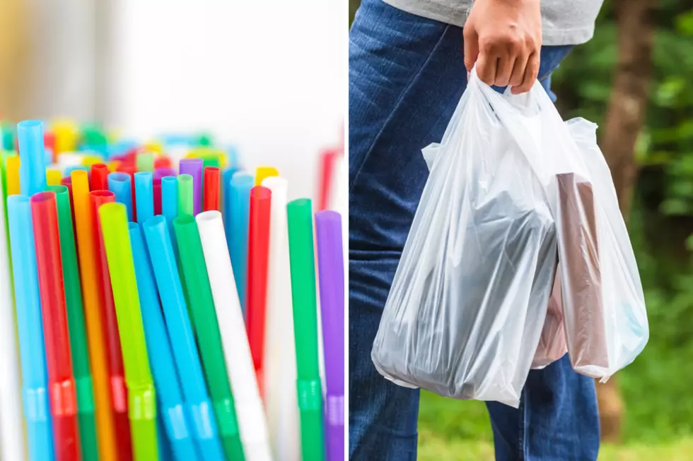 South Dakota Is Trying to Keep Plastic Straws and Bags