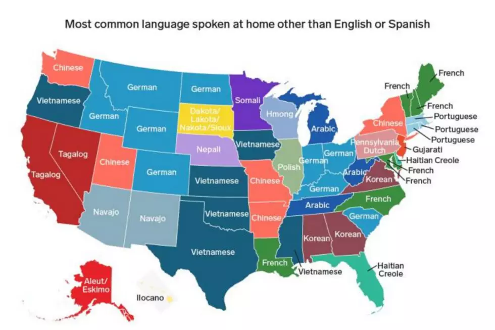 What Is the Most Common Language (besides English and Spanish) Spoken in South Dakota?