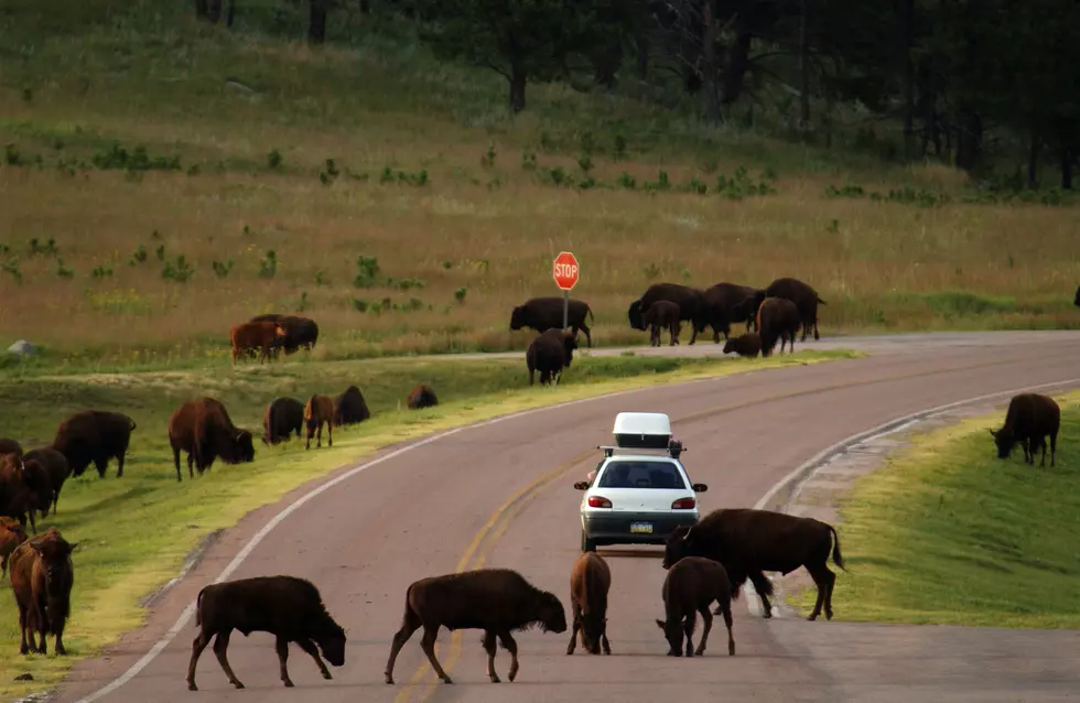 The Top 5 Strangest Names for South Dakota Towns and Their Meaning