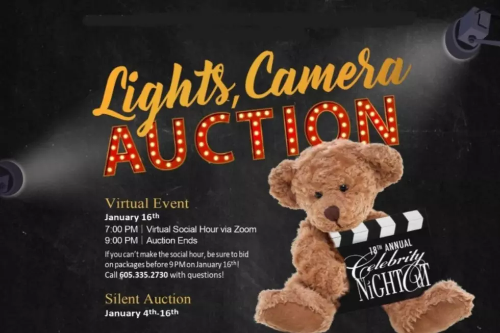 Teddy Bear Den&#8217;s 18th Annual Celebrity Night Out Goes Virtual