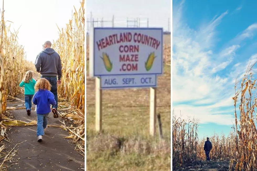 Fall Fun at the Heartland Country Corn Maze East of Harrisburg