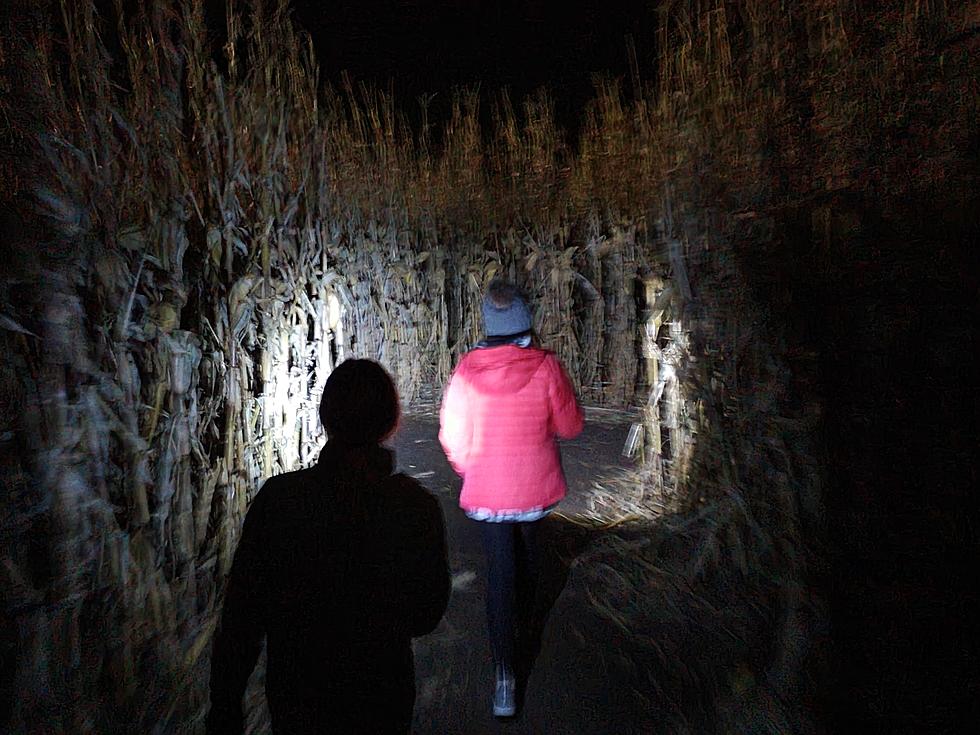 Scary Pics in Haunted Heartland Country Corn Maze