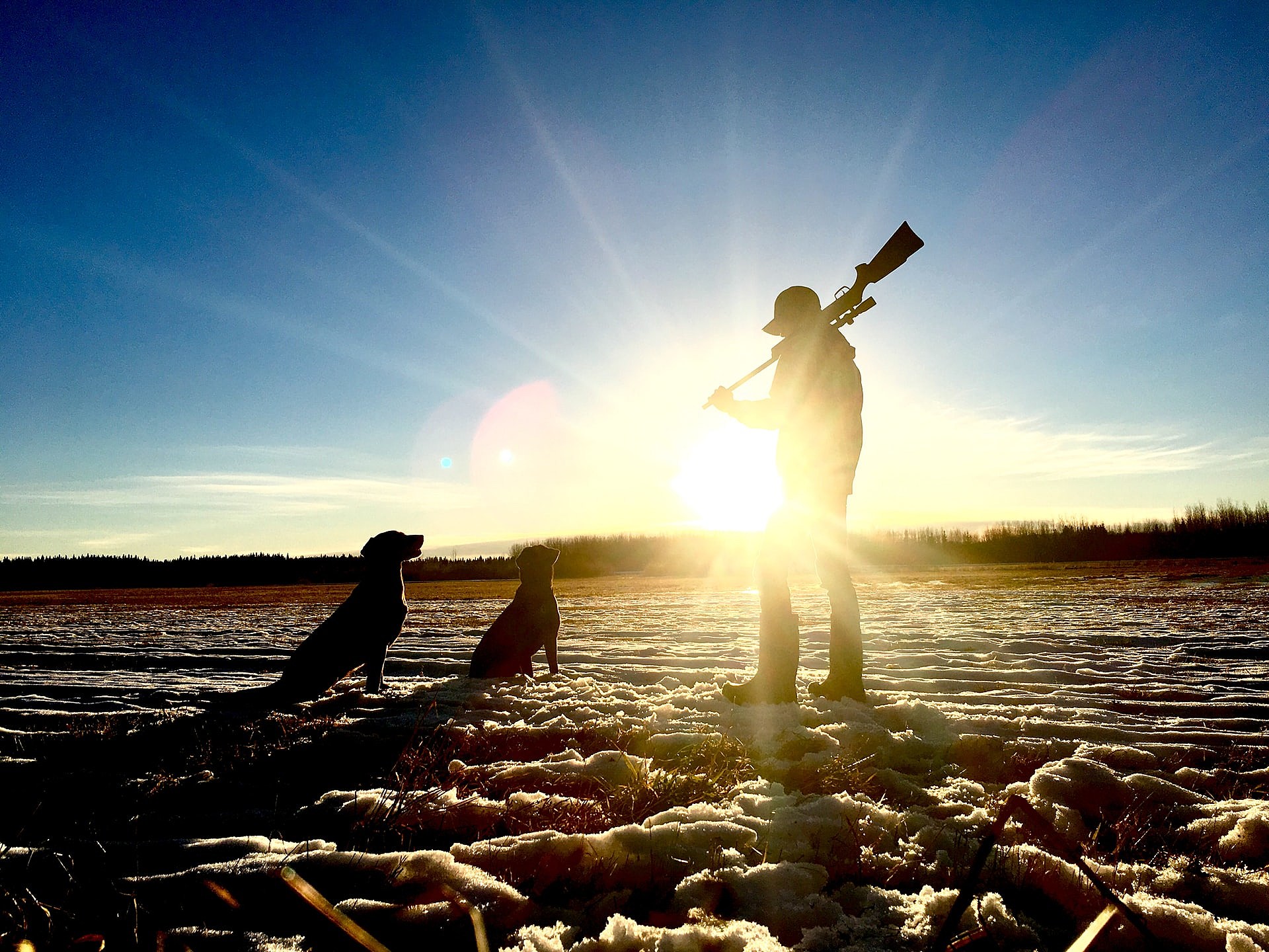 South Dakota Antelope Application Deadline Approaching