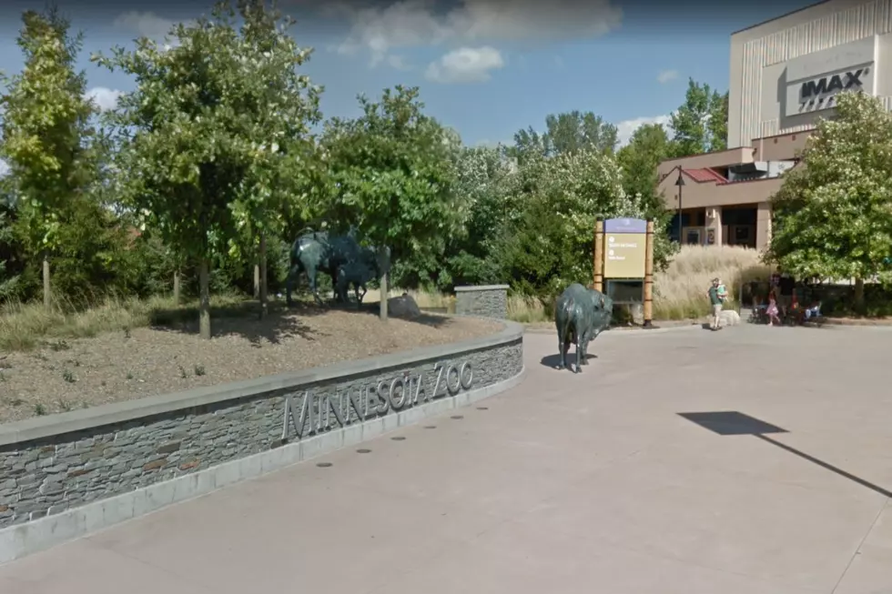 Minnesota Zoo