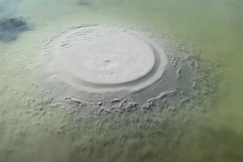 Is There an Underwater Volcano Forming In Aberdeen? [VIDEO]