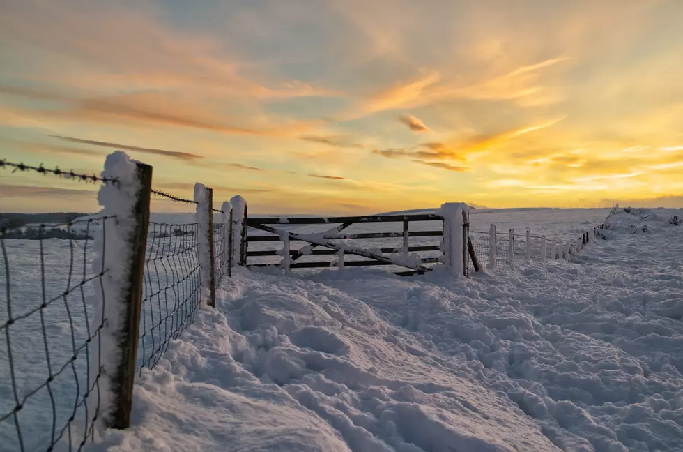 Top 10 Biggest 1-Day Snow Totals in South Dakota History