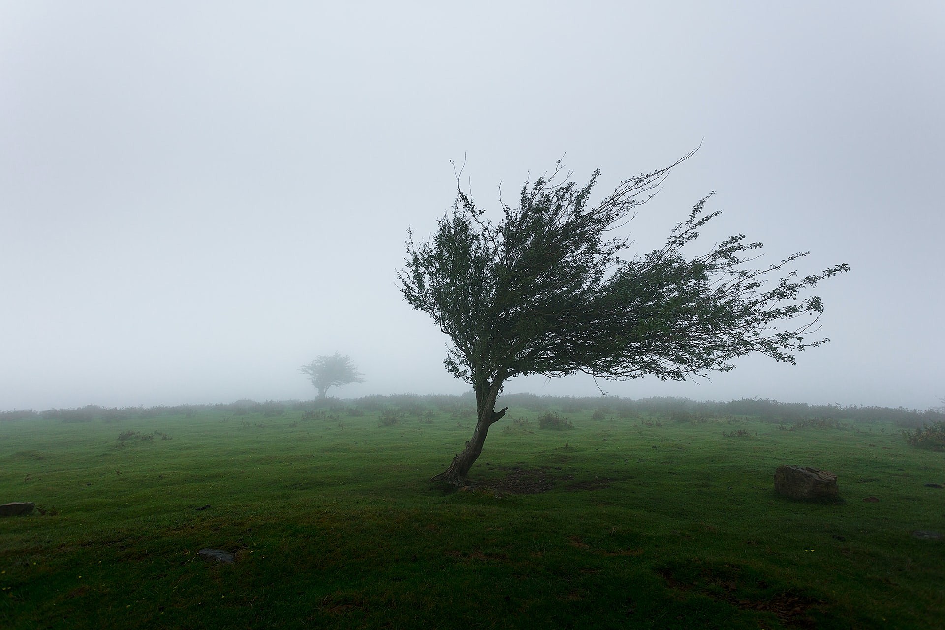 9 South Dakota, Iowa, Minnesota Cities Are among Windiest in U.S.