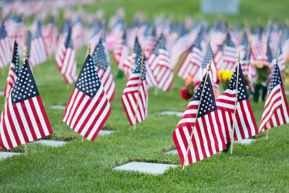 Unveiling The Truth: Memorial Day Vs. Veterans Day Explained