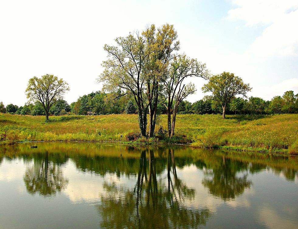 ‘Swimmer’s Itch’ Is Back in Iowa