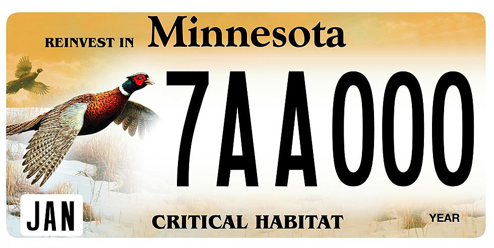 Minnesota Rolling Out New Vehicle Registration Kiosks