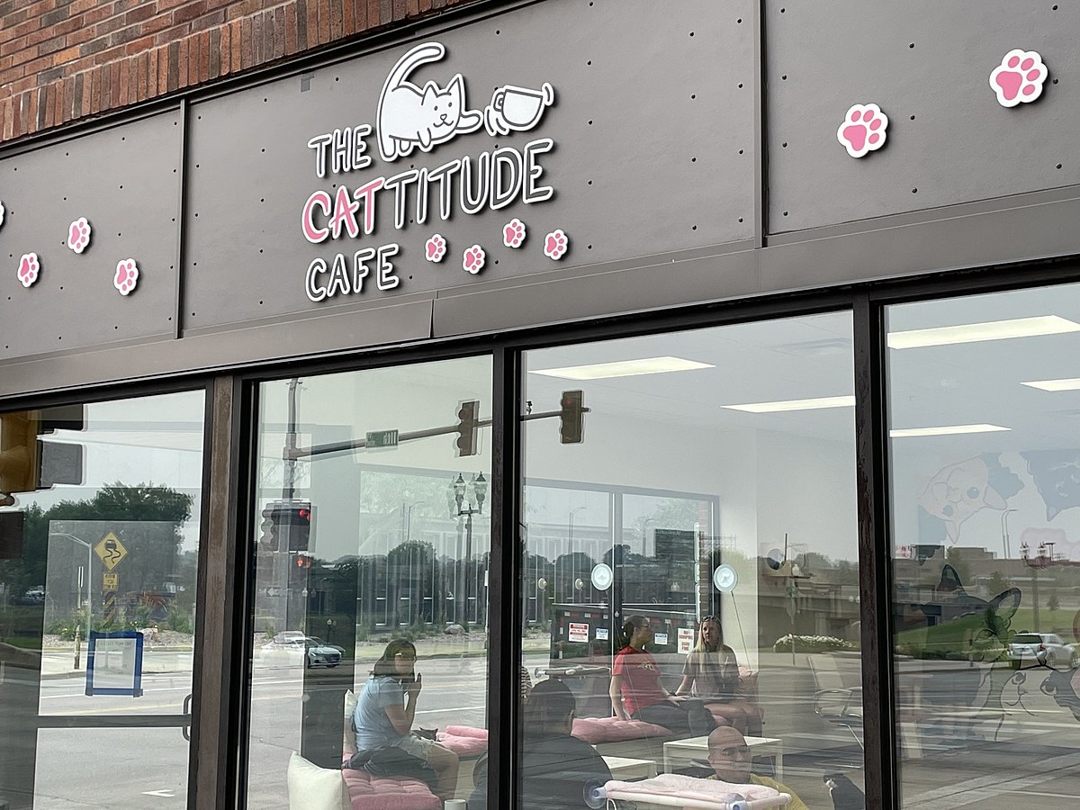 Coming Soon: Sioux City cat café makes progress