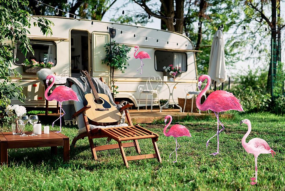 Pink Flamingos at a South Dakota Campsites May Have a Very Kinky Meaning