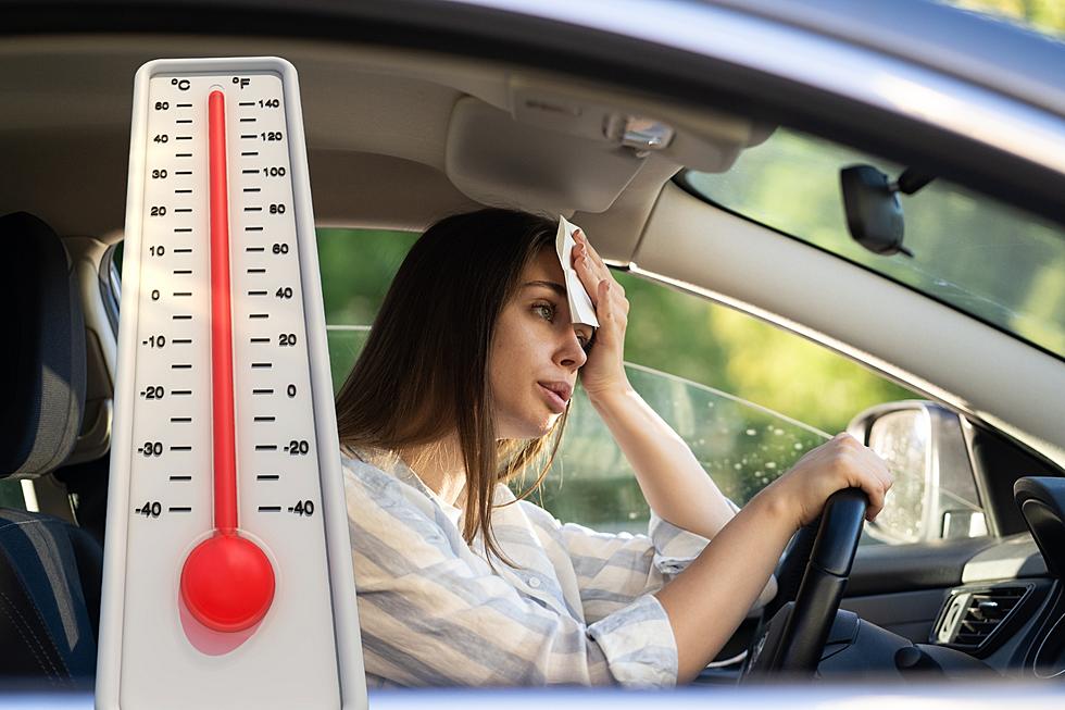 Never Leave These 5 Things in Your Car on a Hot Day