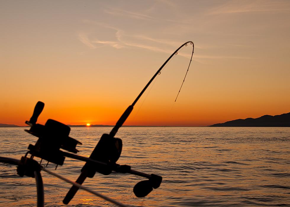 Which States Have Issued the Most Fishing Licenses?
