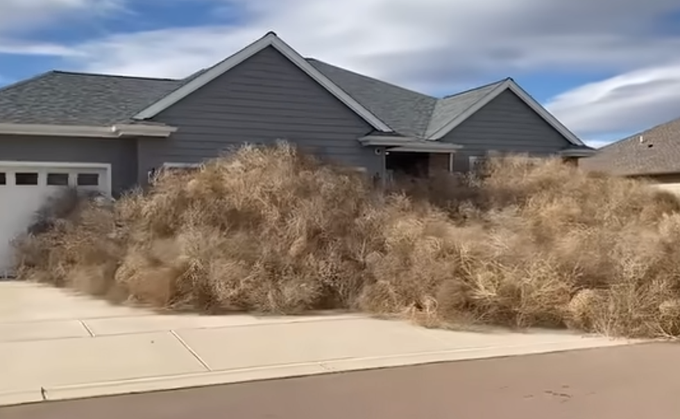 Think South Dakota Wind Is Bad? Check Out This Unbelievable Video
