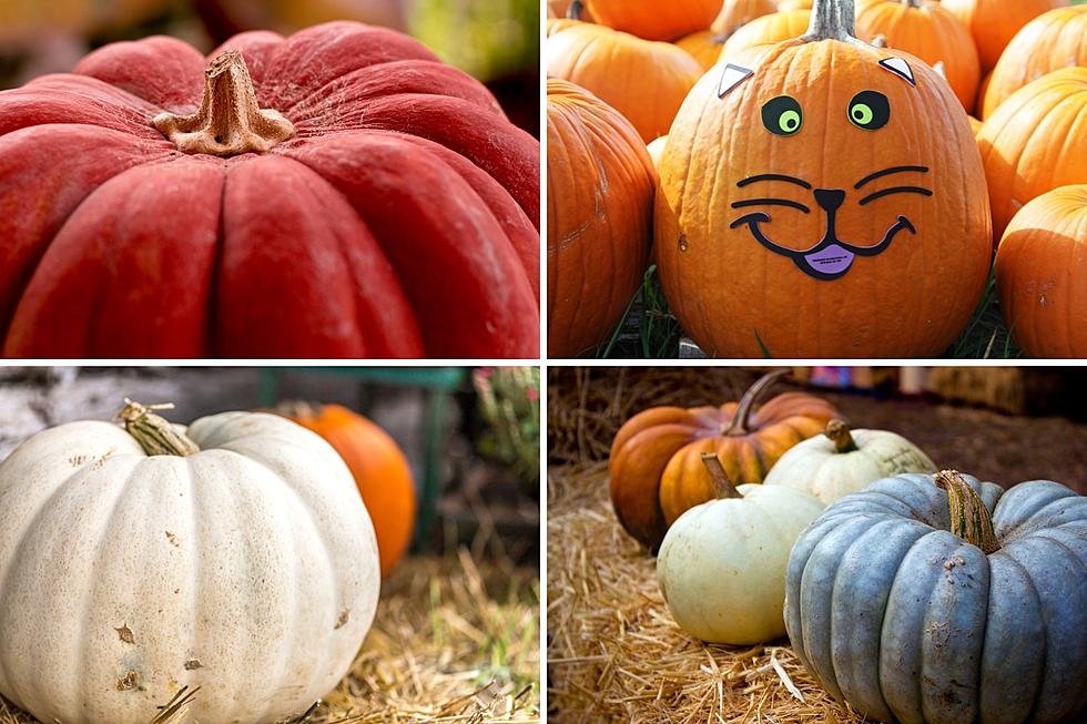 What Do Different Color Pumpkins On South Dakota, Iowa, and Minnesota Porches Mean?