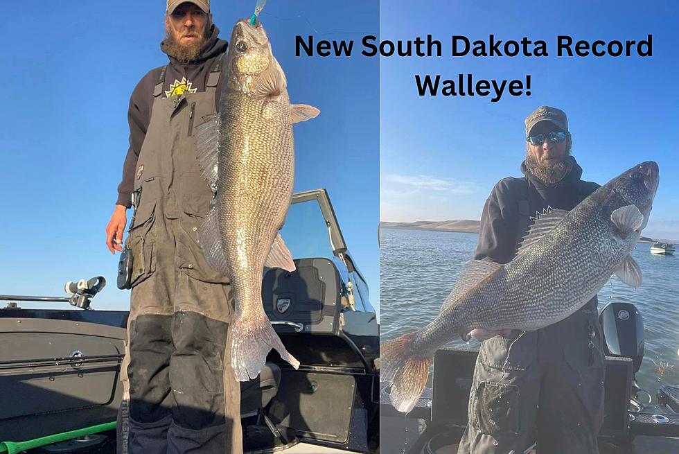 South Dakota Has Another Walleye Record&#8230;Again!