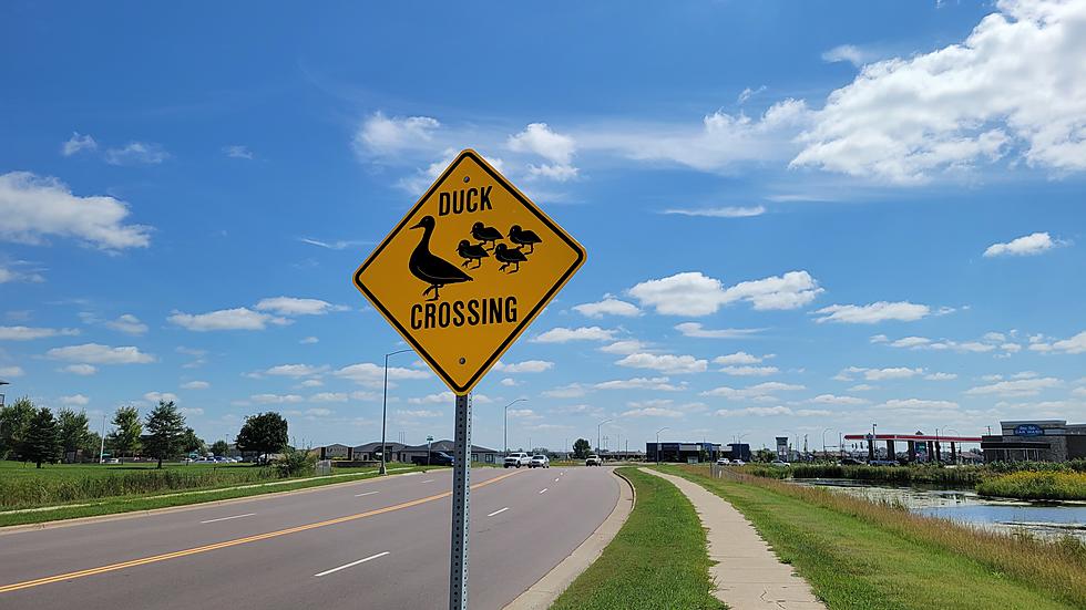 Sioux Falls' Most Ignored Signs