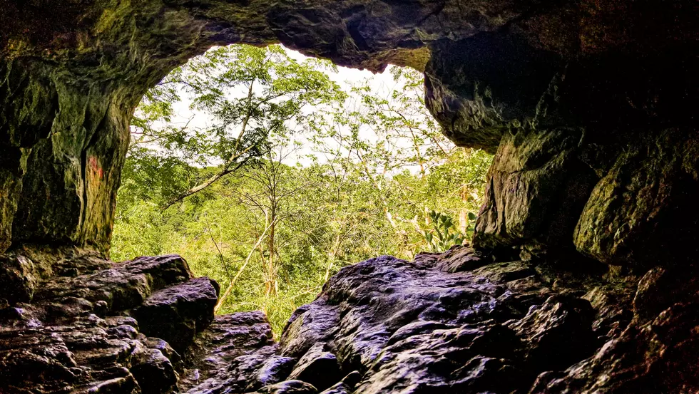 Next Free Day in Minnesota State Parks Is Coming Up Soon