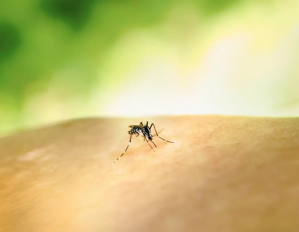 South Dakota Health Department Issues Mosquito Warning