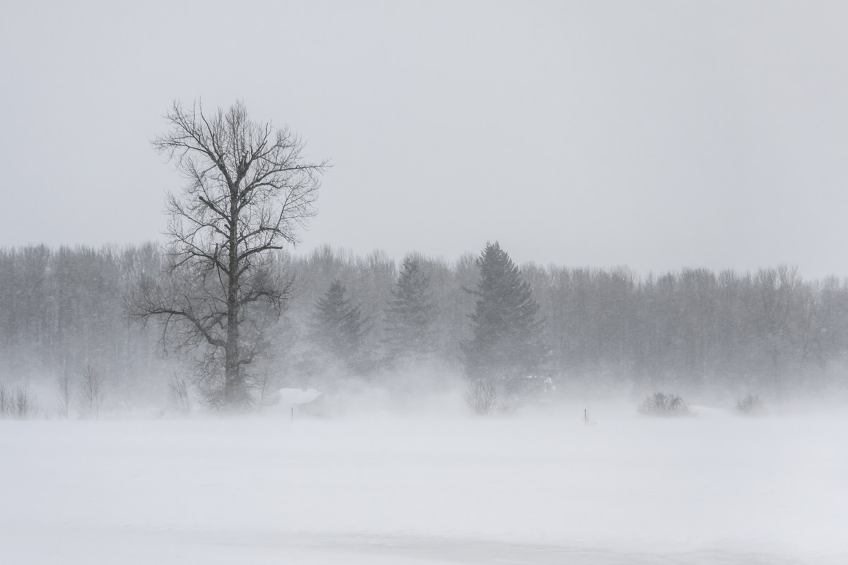 Farmers' Almanac 2026 Winter Forecast For South Dakota